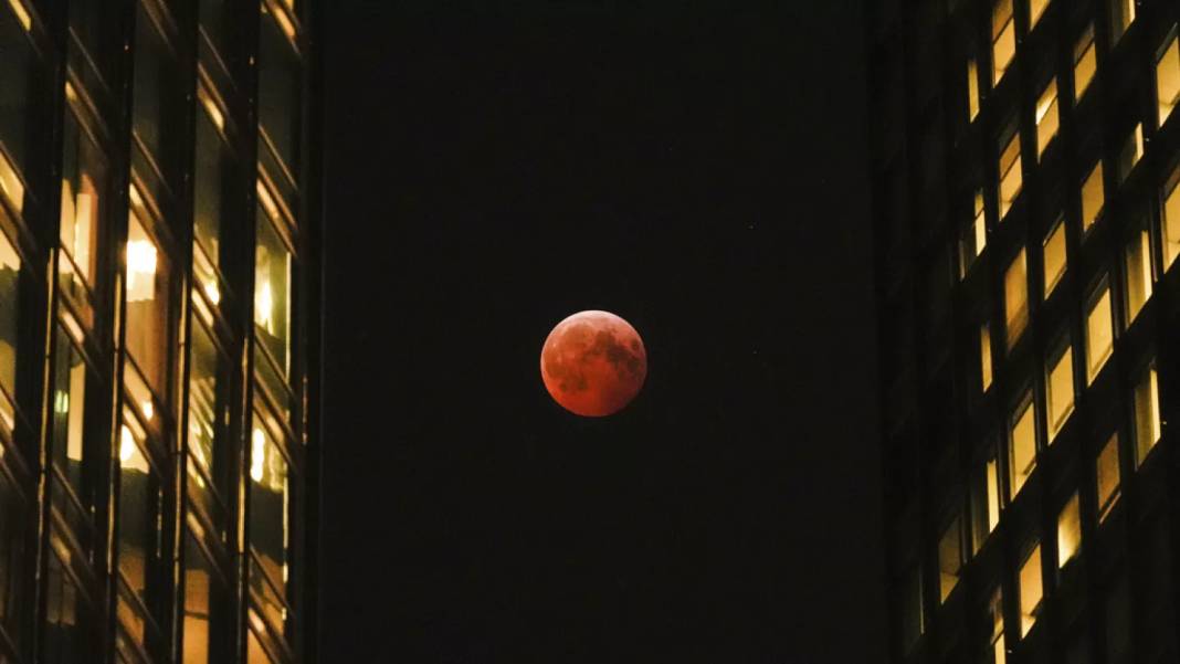 Milyonda bir görülüyor, izleyenleri şaşkına çeviriyor 5